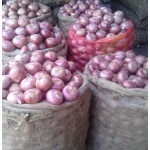 Onion big size 50kg ,  Special for Hotels  Restaurants  Catering & Mess only