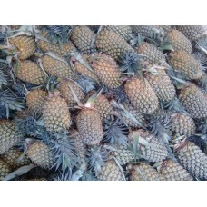 Pineapple 1 kg Rs 25
