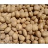 Potato big size  50 kg bag