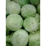 Cabbage