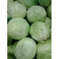 Cabbage