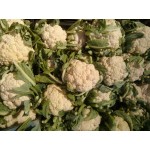 Cauliflower